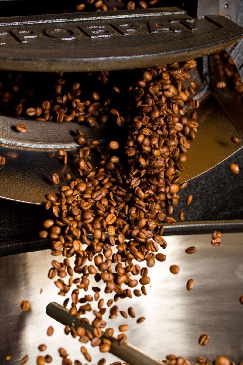 Command Collection 213 Medium Roast