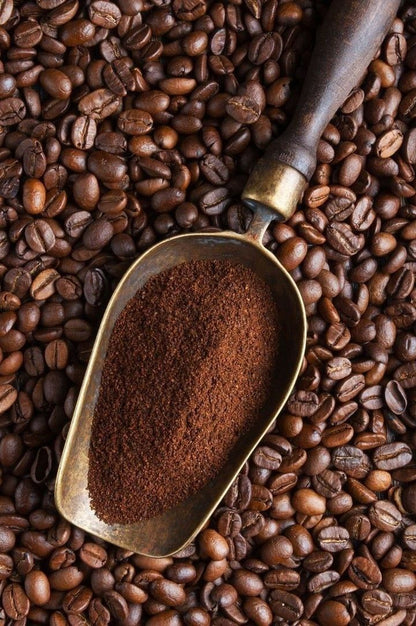 Command Collection 213 Medium Roast