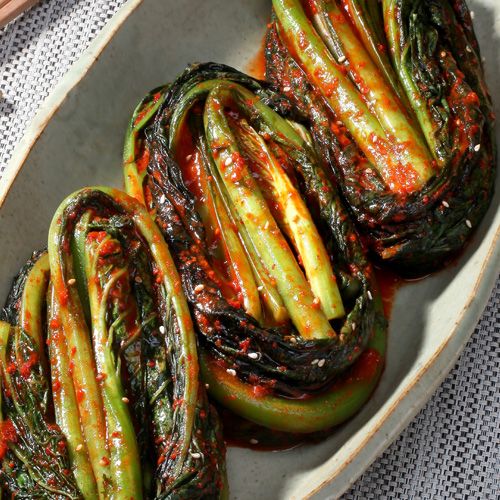 Gat Kimchi (싱싱한 갓김치)